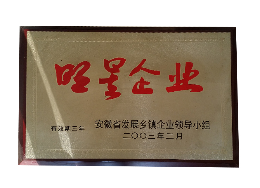2003年安徽省明星企业证书