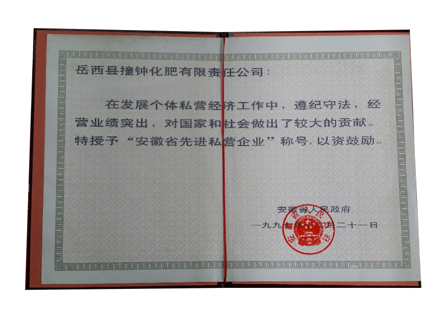 1997年安徽省先进私营企业证书